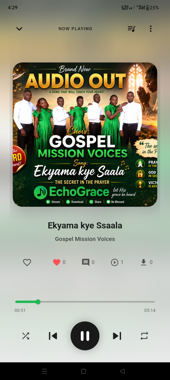 EchoGrace Screenshot 7